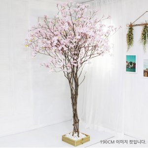 이미지 상세보기