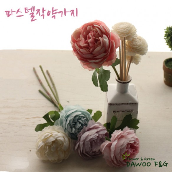 이미지 상세보기